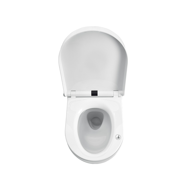 Efterlad Flushing Smart Toilet med vandtank